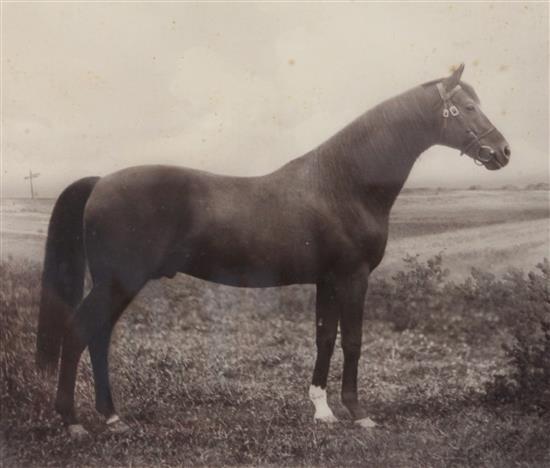 George Finch Mason (1850-1915) Racehorse with jockey up & 3 other equine pictures